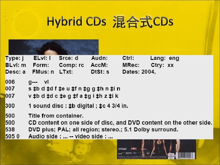 Hybrid CDs 混合式CDs 