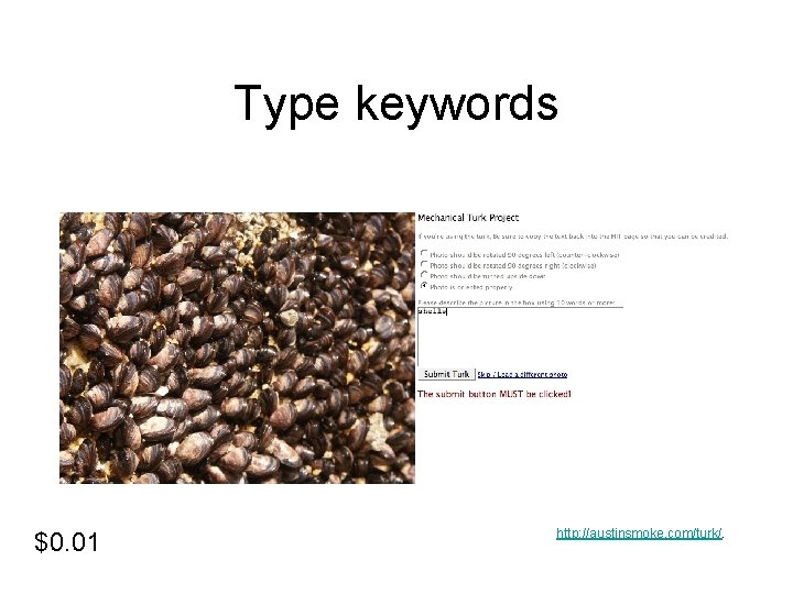 Type keywords $0. 01 http: //austinsmoke. com/turk/. 