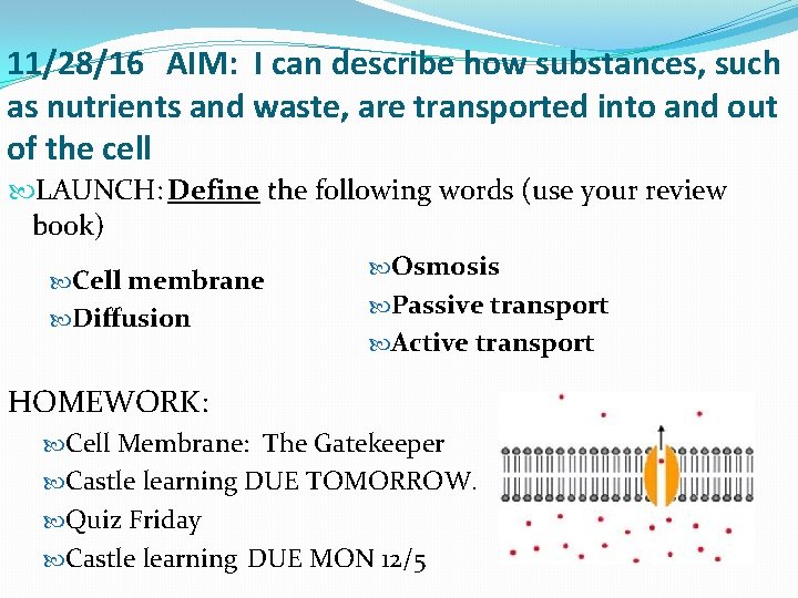 11/28/16 AIM: I can describe how substances, such as nutrients and waste, are transported