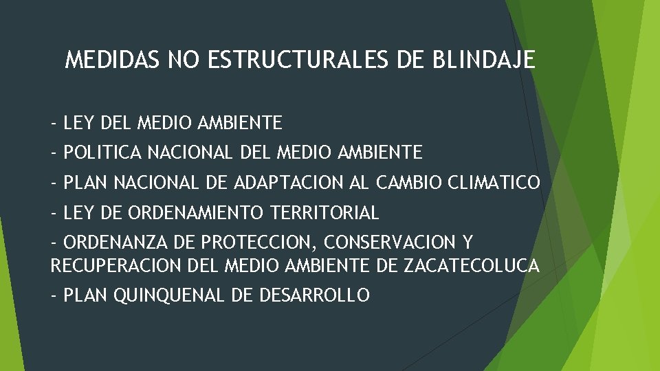 MEDIDAS NO ESTRUCTURALES DE BLINDAJE - LEY DEL MEDIO AMBIENTE - POLITICA NACIONAL DEL