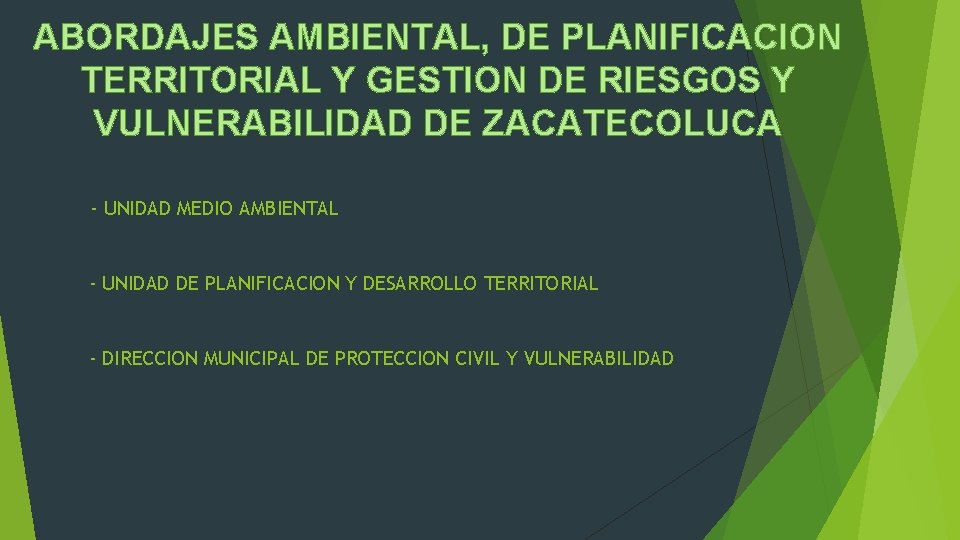 ABORDAJES AMBIENTAL, DE PLANIFICACION TERRITORIAL Y GESTION DE RIESGOS Y VULNERABILIDAD DE ZACATECOLUCA -