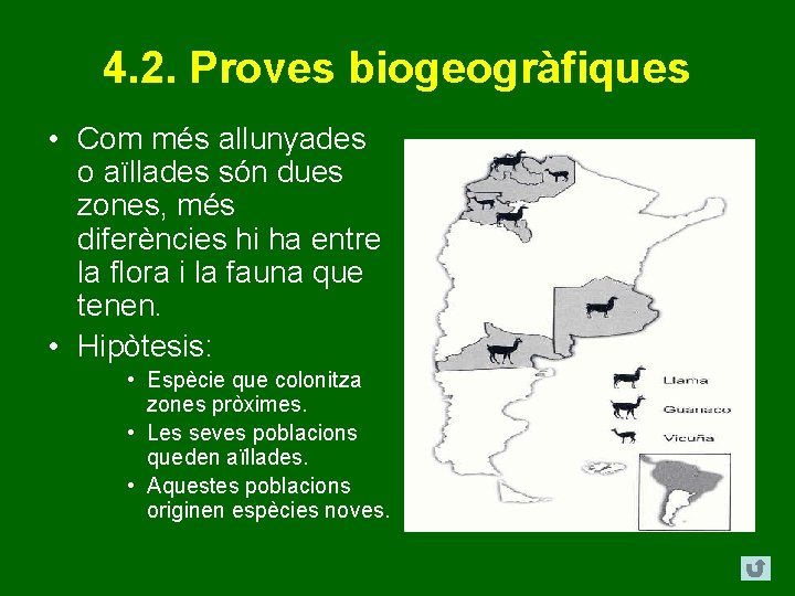 4. 2. Proves biogeogràfiques • Com més allunyades o aïllades són dues zones, més