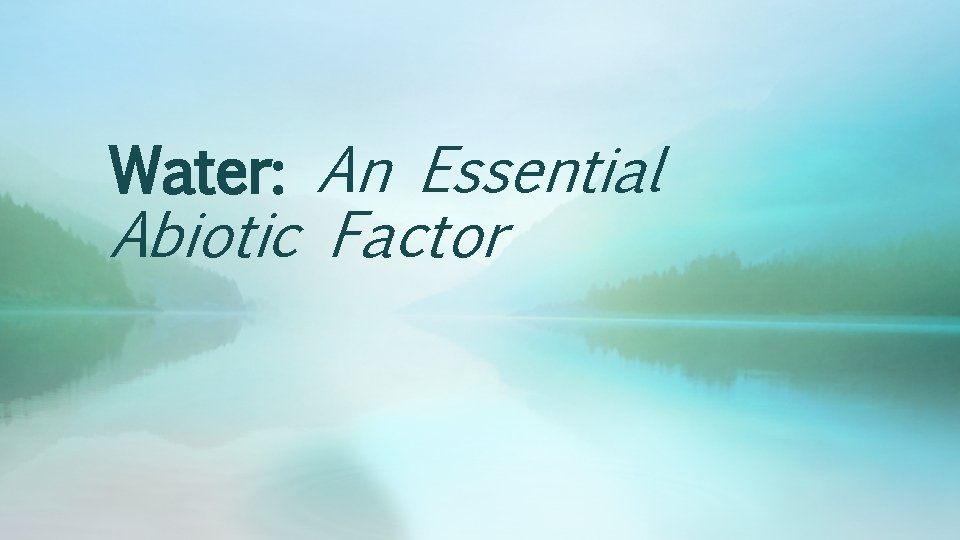 Water: An Essential Abiotic Factor 