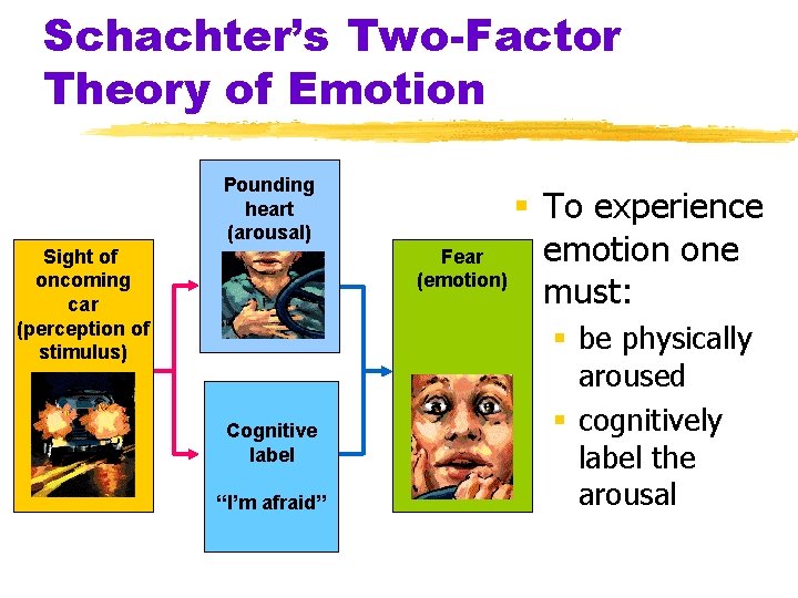 Schachter’s Two-Factor Theory of Emotion Pounding heart (arousal) Sight of oncoming car (perception of