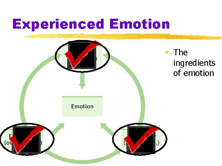 Experienced Emotion § The ingredients of emotion 