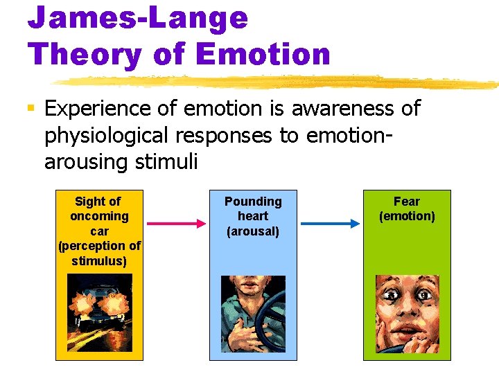 James-Lange Theory of Emotion § Experience of emotion is awareness of physiological responses to