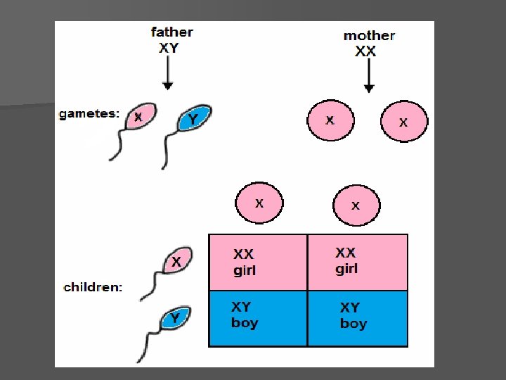 Genosity Genetics Heredity Genetics is the study of heredity