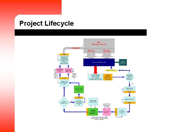 Project Lifecycle 