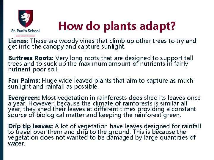 How do plants adapt? Lianas: These are woody vines that climb up other trees
