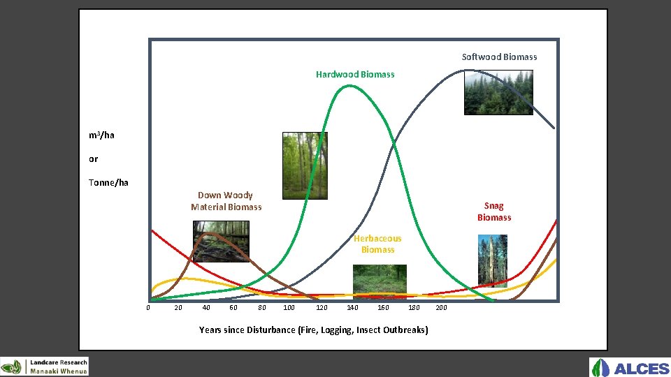 Softwood Biomass Hardwood Biomass m 3/ha or Tonne/ha Down Woody Material Biomass Snag Biomass