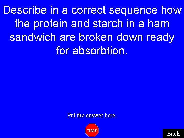 Describe in a correct sequence how the protein and starch in a ham sandwich Describe in a correct sequence how the protein and starch in a ham sandwich
