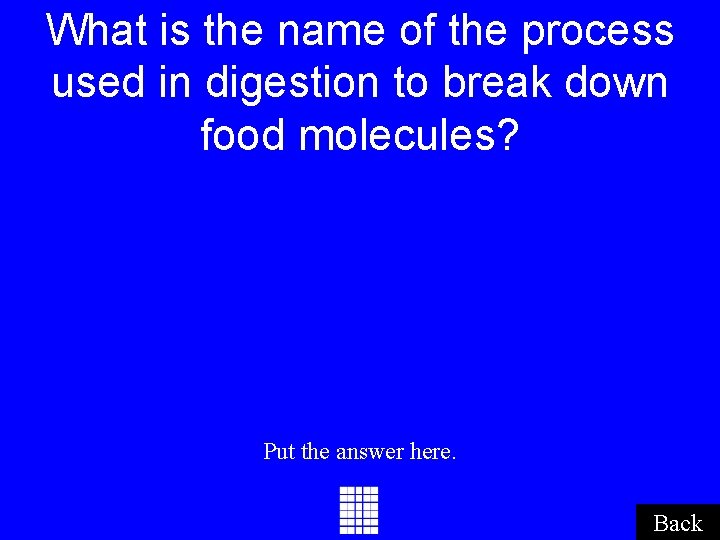 What is the name of the process used in digestion to break down food What is the name of the process used in digestion to break down food