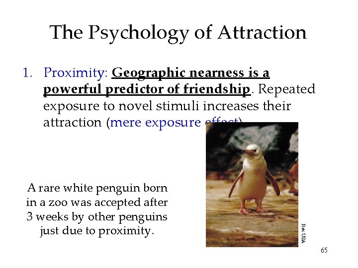 The Psychology of Attraction 1. Proximity: Geographic nearness is a powerful predictor of friendship.