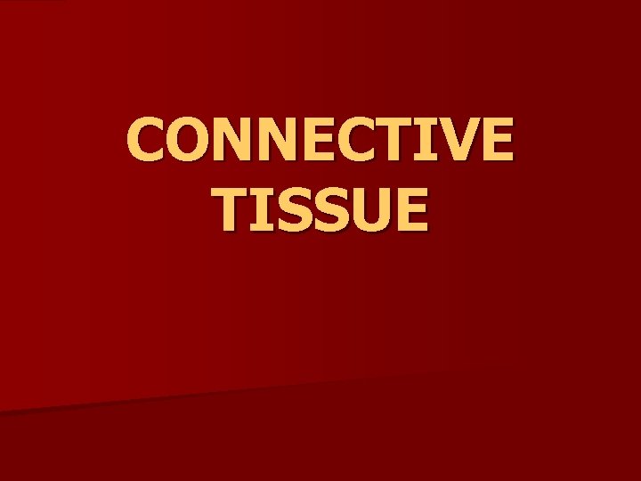 CONNECTIVE TISSUE 