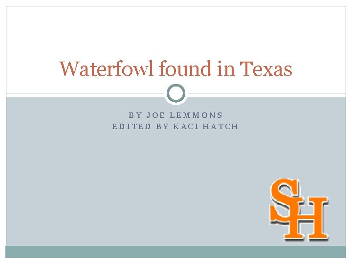 Waterfowl found in Texas BY JOE LEMMONS EDITED BY KACI HATCH 