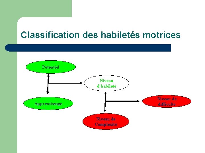 Classification des habiletés motrices Potentiel Niveau d'habileté Niveau de difficulté Apprentissage Niveau de Complexité