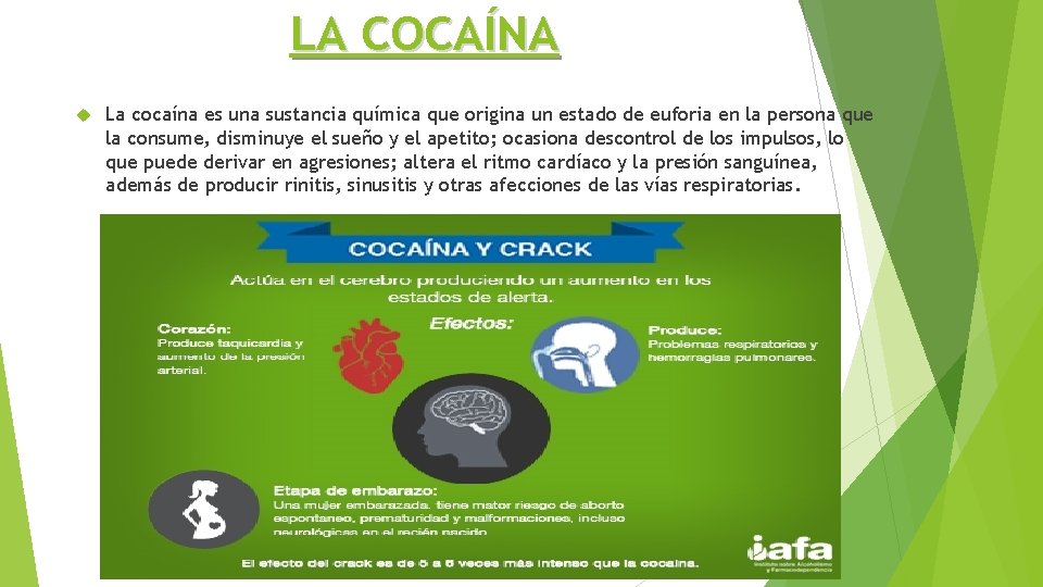 LA COCAÍNA La cocaína es una sustancia química que origina un estado de euforia