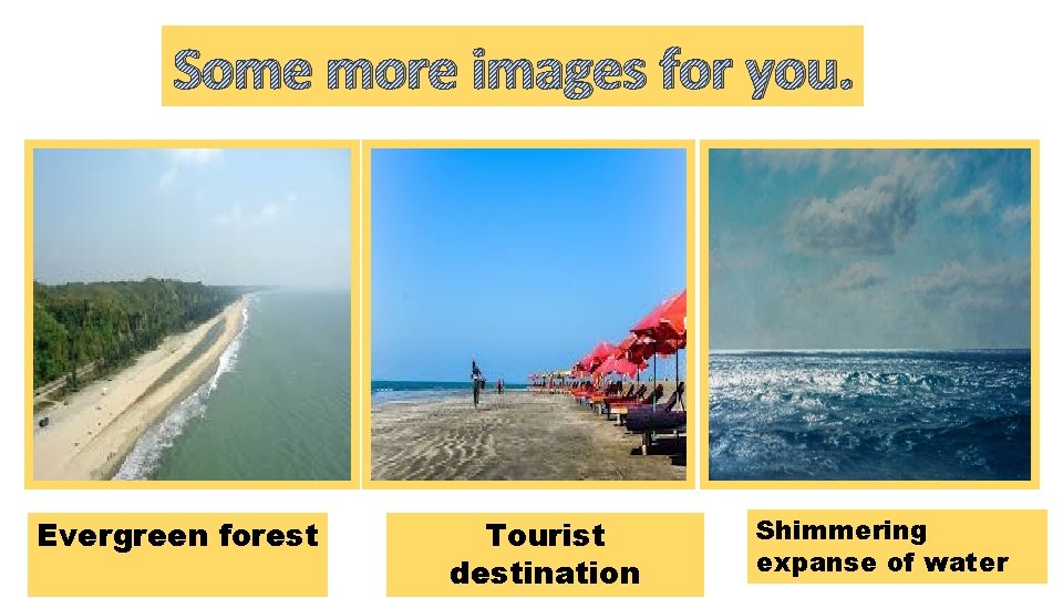 Some more images for you. Evergreen forest Tourist destination Shimmering expanse of water 