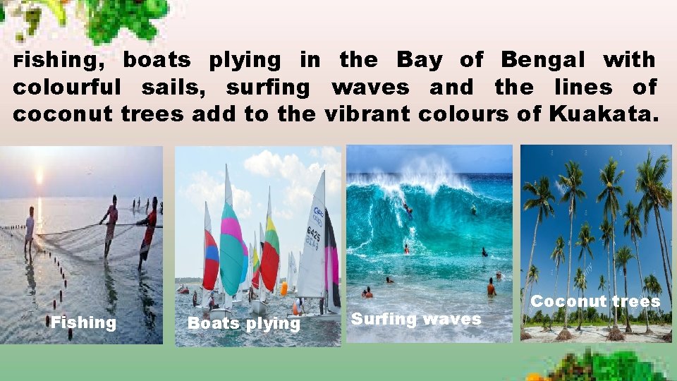 Fishing, boats plying in the Bay of Bengal with colourful sails, surfing waves and