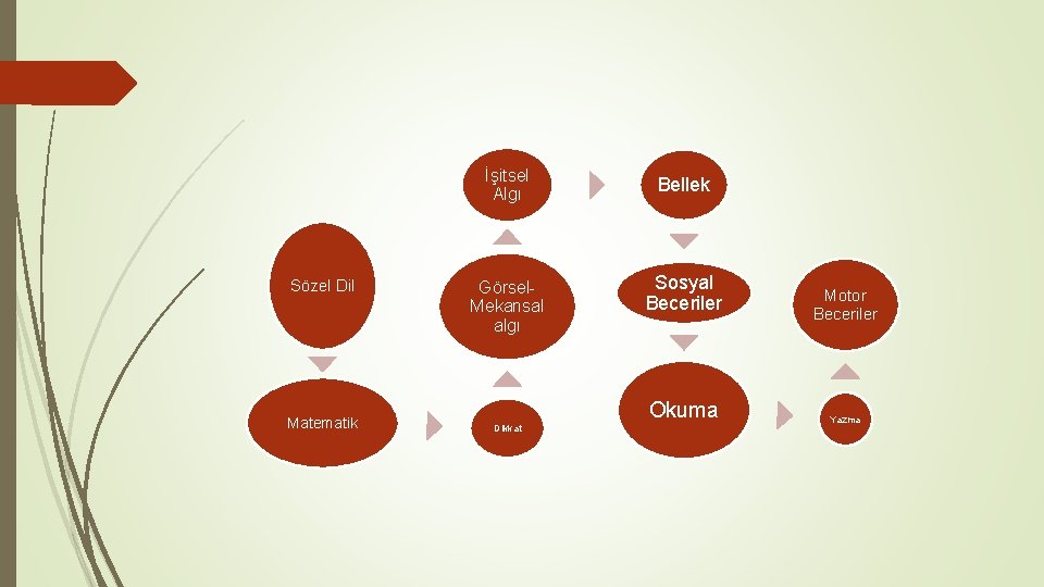 Sözel Dil Matematik İşitsel Algı Bellek Görsel. Mekansal algı Sosyal Beceriler Okuma Dikkat Motor