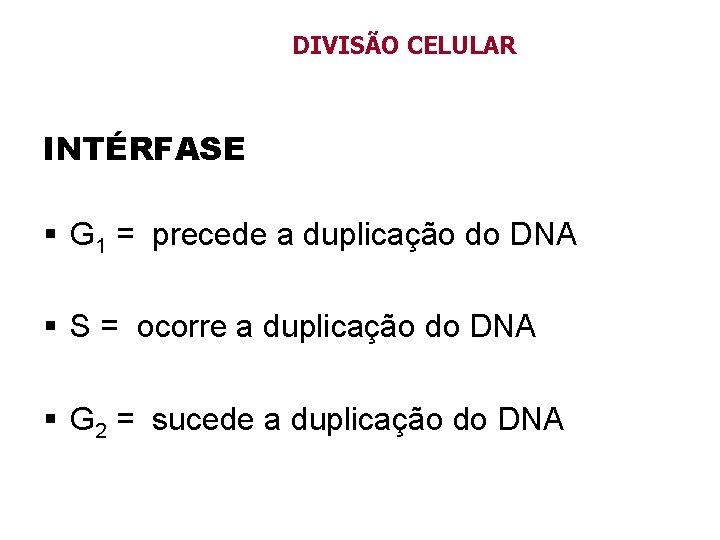 DIVISÃO CELULAR INTÉRFASE § G 1 = precede a duplicação do DNA § S DIVISÃO CELULAR INTÉRFASE § G 1 = precede a duplicação do DNA § S