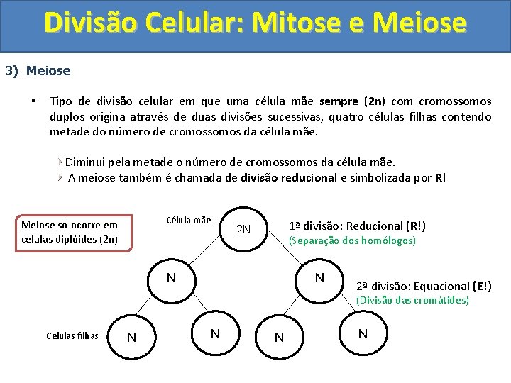 Divisão Celular: Mitose e Meiose 3) Meiose § Tipo de divisão celular em que Divisão Celular: Mitose e Meiose 3) Meiose § Tipo de divisão celular em que