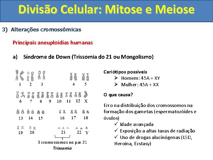 Divisão Celular: Mitose e Meiose 3) Alterações cromossômicas Principais aneuploidias humanas a) Síndrome de Divisão Celular: Mitose e Meiose 3) Alterações cromossômicas Principais aneuploidias humanas a) Síndrome de