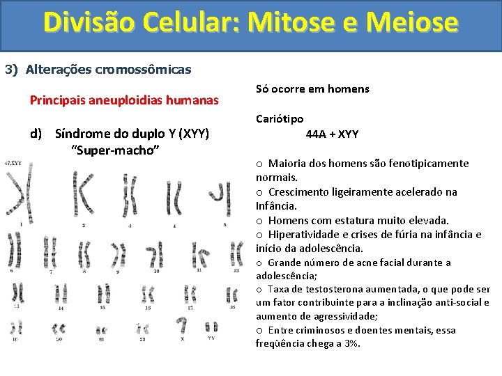 Divisão Celular: Mitose e Meiose 3) Alterações cromossômicas Principais aneuploidias humanas d) Síndrome do Divisão Celular: Mitose e Meiose 3) Alterações cromossômicas Principais aneuploidias humanas d) Síndrome do