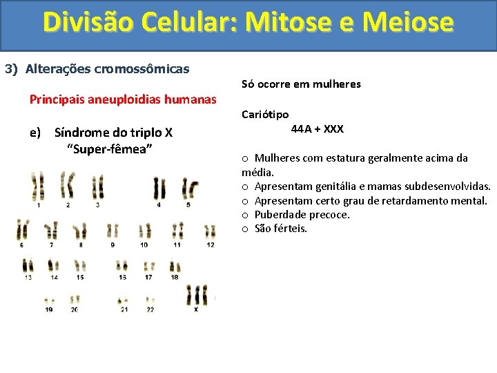 Divisão Celular: Mitose e Meiose 3) Alterações cromossômicas Principais aneuploidias humanas e) Síndrome do Divisão Celular: Mitose e Meiose 3) Alterações cromossômicas Principais aneuploidias humanas e) Síndrome do