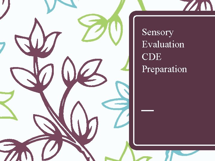 Sensory Evaluation CDE Preparation 