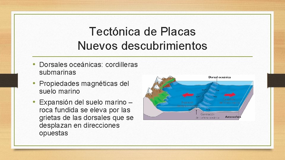 Tectónica de Placas Nuevos descubrimientos • Dorsales oceánicas: cordilleras submarinas • Propiedades magnéticas del