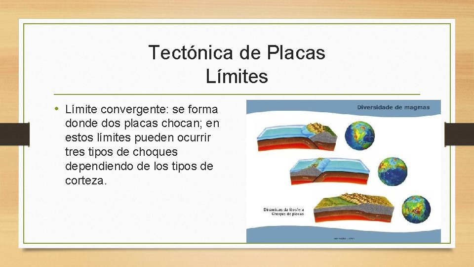 Tectónica de Placas Límites • Límite convergente: se forma donde dos placas chocan; en