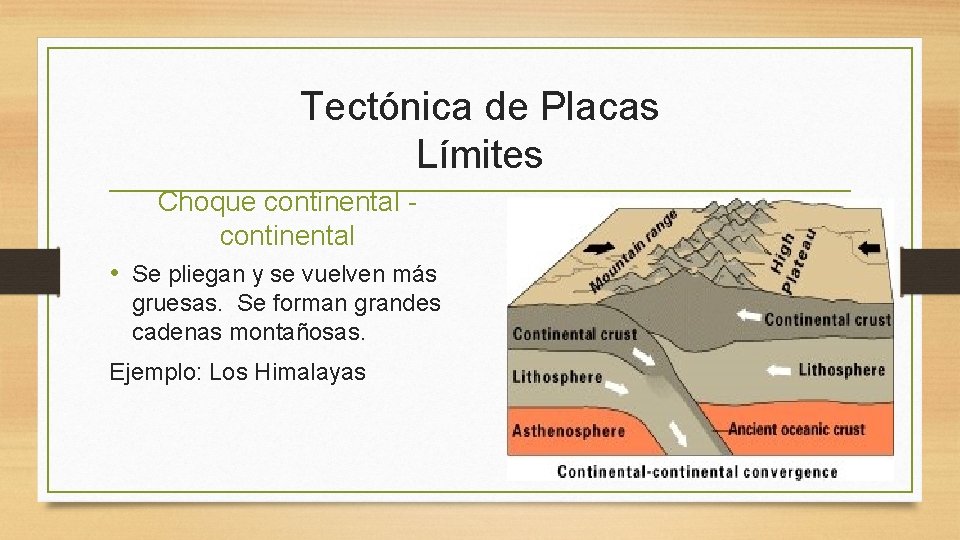 Tectónica de Placas Límites Choque continental • Se pliegan y se vuelven más gruesas.