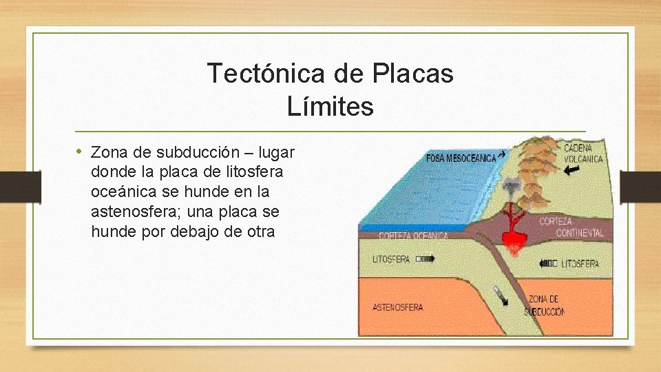 Tectónica de Placas Límites • Zona de subducción – lugar donde la placa de
