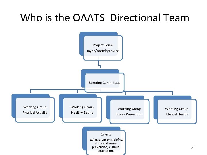 Who is the OAATS Directional Team Project Team Jayne/Brenda/Louise Steering Committee Working Group Physical