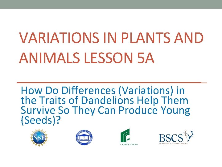 VARIATIONS IN PLANTS AND ANIMALS LESSON 5 A How Do Differences (Variations) in the