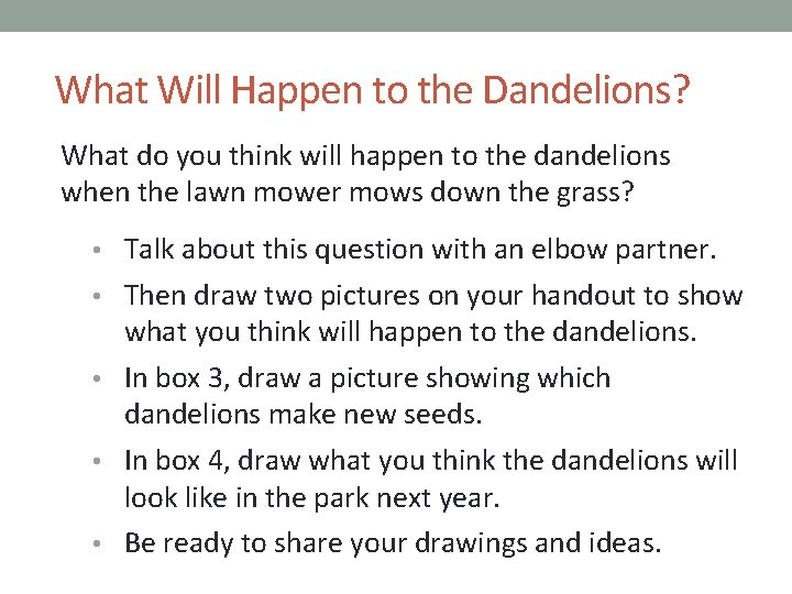 What Will Happen to the Dandelions? What do you think will happen to the