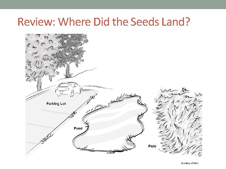 Review: Where Did the Seeds Land? Courtesy of BSCS 