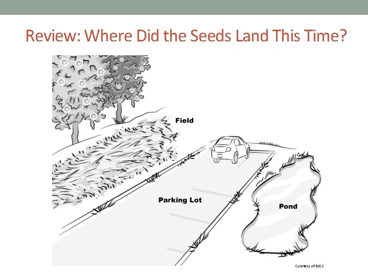 Review: Where Did the Seeds Land This Time? Courtesy of BSCS 
