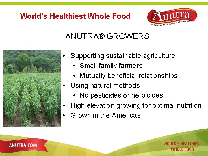 World’s Healthiest Whole Food ANUTRA® GROWERS • Supporting sustainable agriculture • Small family farmers