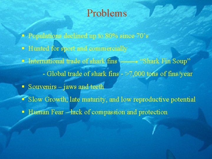 Problems § Populations declined up to 80% since 70’s § Hunted for sport and