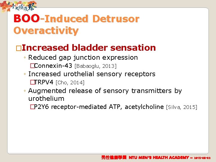 BOO-Induced Detrusor Overactivity �Increased bladder sensation ◦ Reduced gap junction expression �Connexin-43 [Babaoglu, 2013]