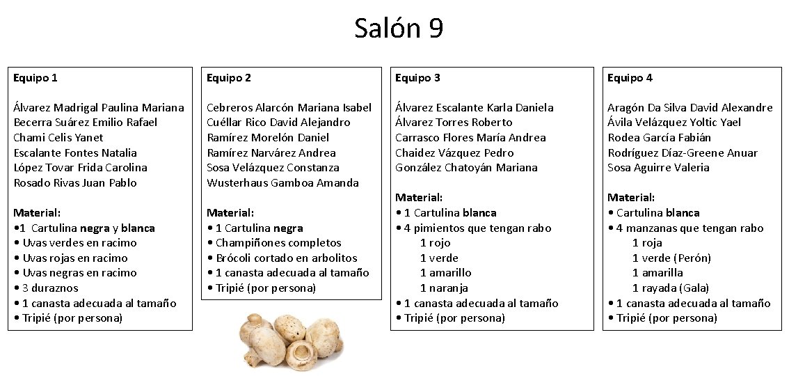 Salón 9 Equipo 1 Equipo 2 Equipo 3 Equipo 4 Álvarez Madrigal Paulina Mariana