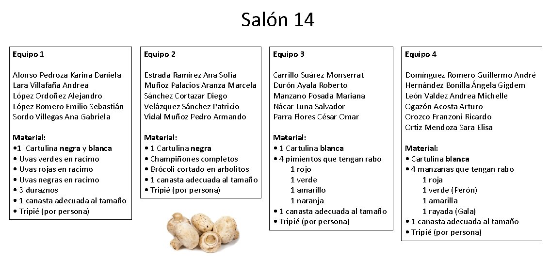 Salón 14 Equipo 1 Equipo 2 Equipo 3 Equipo 4 Alonso Pedroza Karina Daniela