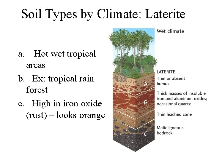 Soil Types by Climate: Laterite a. Hot wet tropical areas b. Ex: tropical rain