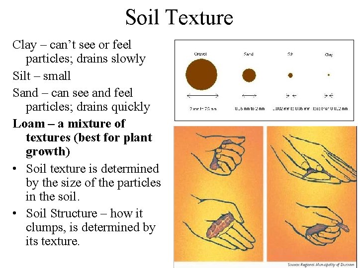 Soil Texture Clay – can’t see or feel particles; drains slowly Silt – small