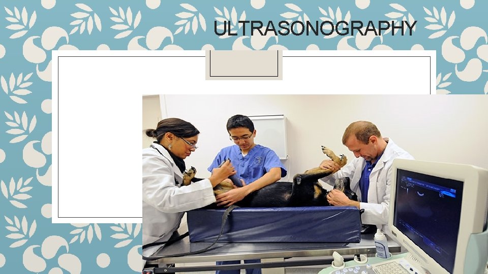 ULTRASONOGRAPHY 