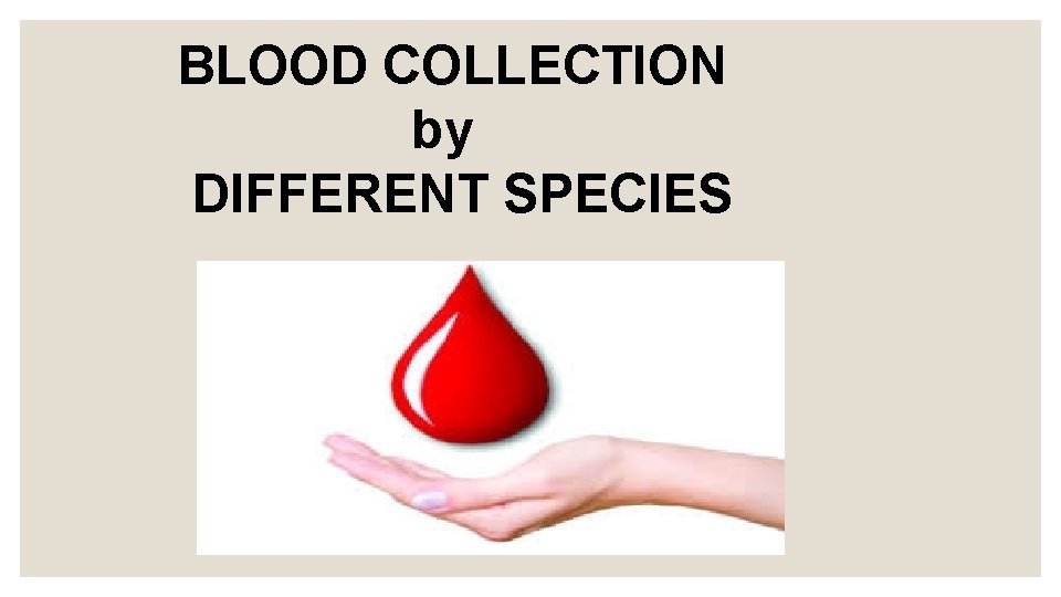 BLOOD COLLECTION by DIFFERENT SPECIES 