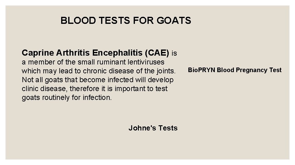 BLOOD TESTS FOR GOATS Caprine Arthritis Encephalitis (CAE) is a member of the small