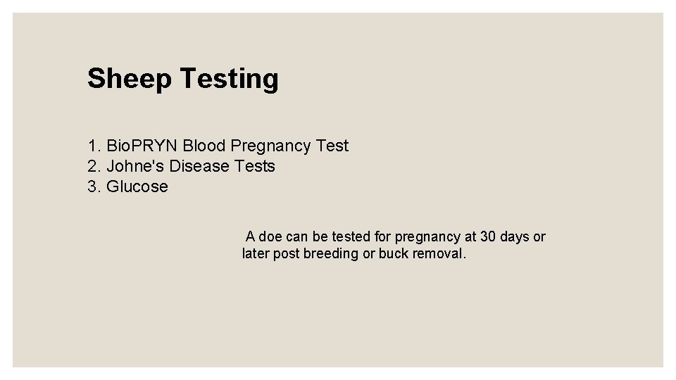 Sheep Testing 1. Bio. PRYN Blood Pregnancy Test 2. Johne's Disease Tests 3. Glucose